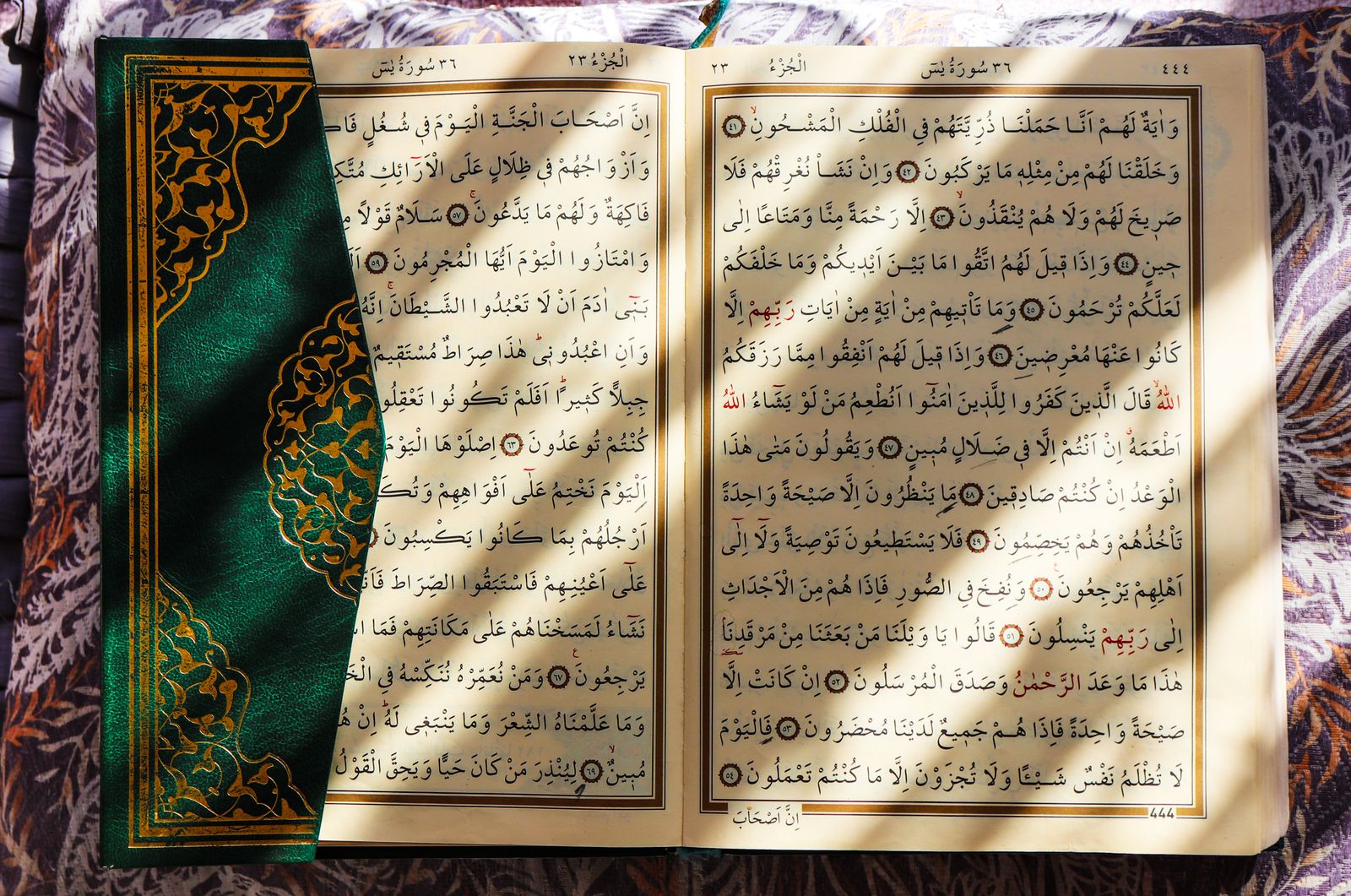 Imam al-Tirmidzi: Ulama Hadits dari Termez